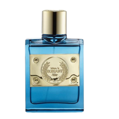 Geparlys Elegant Attractive Pour Homme EDT 100Ml Perfume For Men