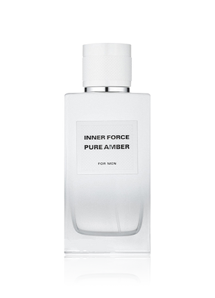 Geparlys Inner Force Pure Amber EDT 100Ml  Perfume For Men